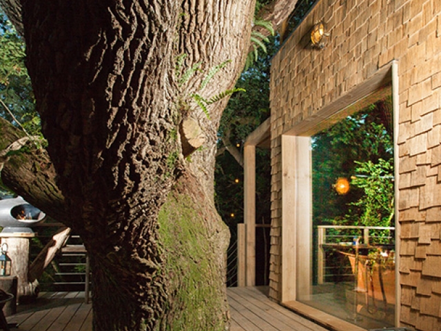 The most expensive tree house 