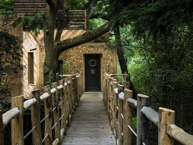 The most expensive tree house 