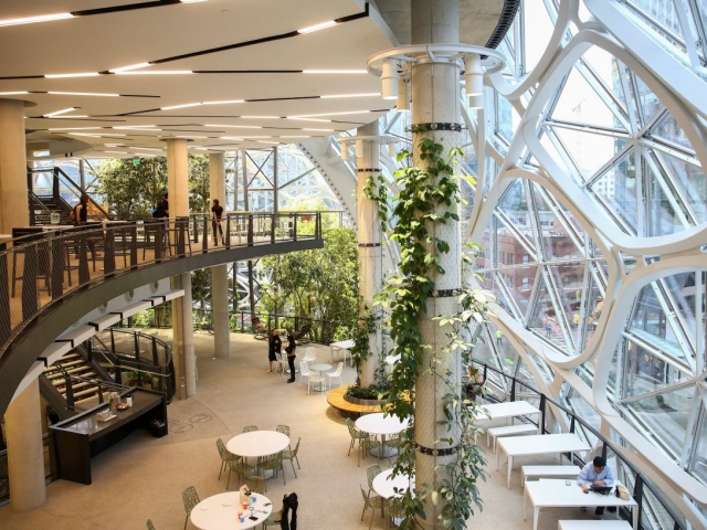 Waterfalls and tropics: Amazon opens new office