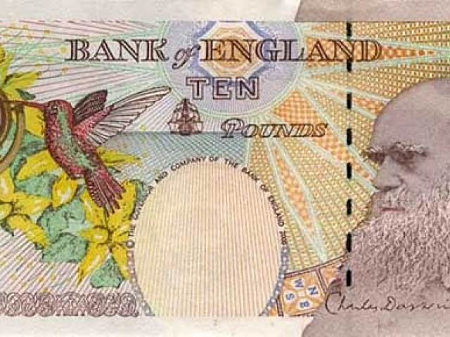 Сдержанность и элегантность: история британского фунта