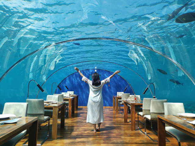 Погрузиться в отдых с головой: 7 самых необычных отелей, расположенных под водой