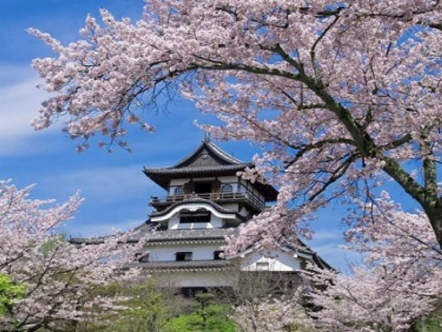 Japan’s top 6 samurai castles