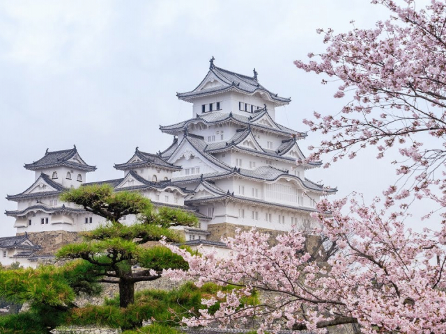 Top 6 castele de samurai din Japonia