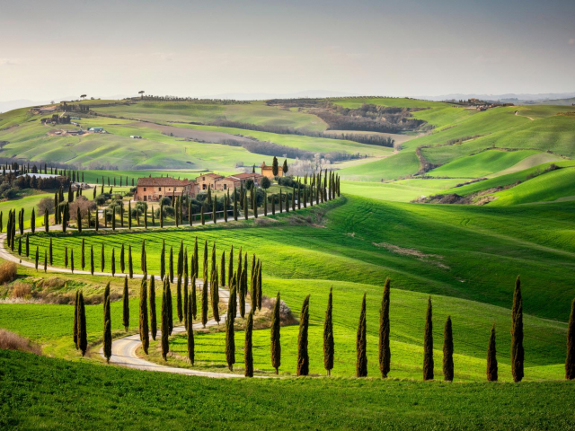 I luoghi più verdi della terra