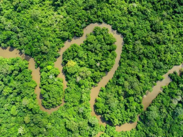 I luoghi più verdi della terra