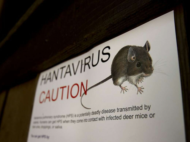 Nejnebezpečnější viry na světě