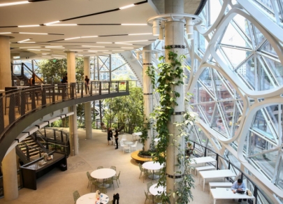 Waterfalls and tropics: Amazon opens new office