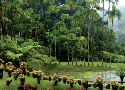 Taman botani terbesar dan paling cantik di dunia