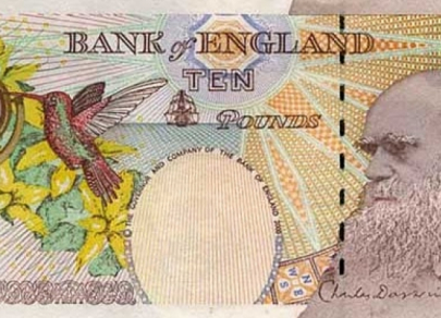 Сдержанность и элегантность: история британского фунта