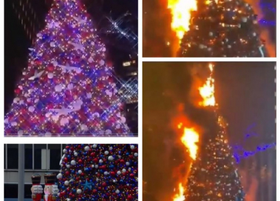  Top 7 Christmas trees with special messages