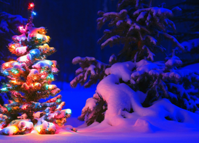  Top 7 Christmas trees with special messages