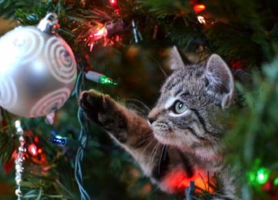 Fiera di Capodanno: le 5 decorazioni natalizie più costose