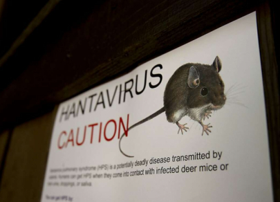 World's most dangerous viruses