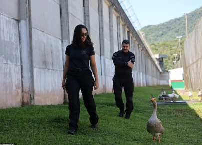 Лапы, когти и хвосты &ndash; как животные способны повлиять на бизнес