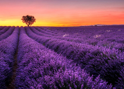 Самые необычные цветовые палитры природы