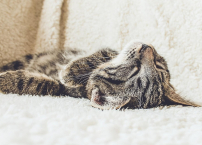 ​Гениальная простота &ndash; как элементарные идеи приносят миллионы