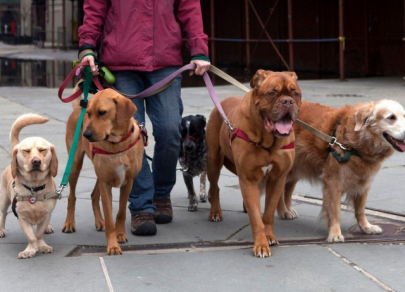 Есть идея! Как экономика участия меняет рынок услуг