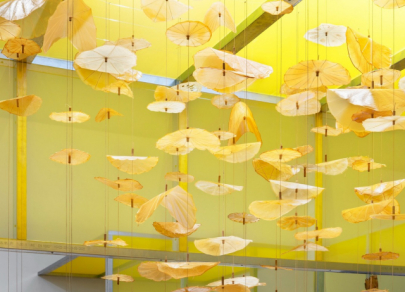 Биодизайн &ndash; как природа заменяет мебельные фабрики