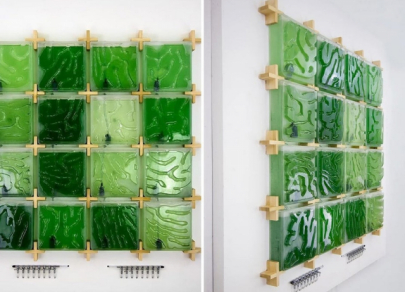 Биодизайн &ndash; как природа заменяет мебельные фабрики