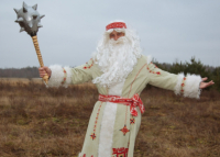 Когда Дедов Морозов много не бывает: самый главный новогодний персонаж в разных странах мира 