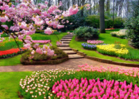 Symphony of flowers: 5 amazing flower parks in world