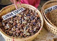 World's 5 most expensive coffees