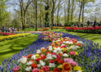 The world's most beautiful gardens