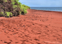 Pantai unik dengan warna pasir yang menakjubkan