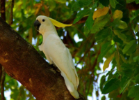 অস্ট্রেলিয়ার সাতটি অবিস্মরণীয় স্থান