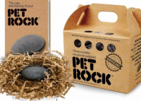 Ingenious simplicity: how elementary ideas generate millions