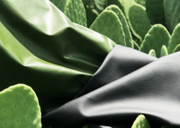 Биодизайн – как природа заменяет мебельные фабрики