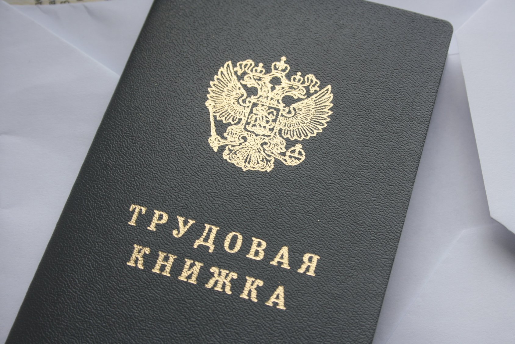 Власти РФ готовы работать с бизнесом в долгосрочной профподготовке кадров
