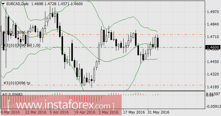 Кросс-курсы лидируют