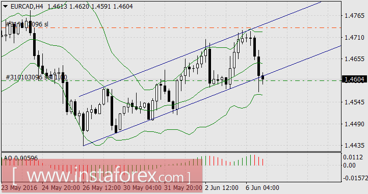Кросс-курсы лидируют