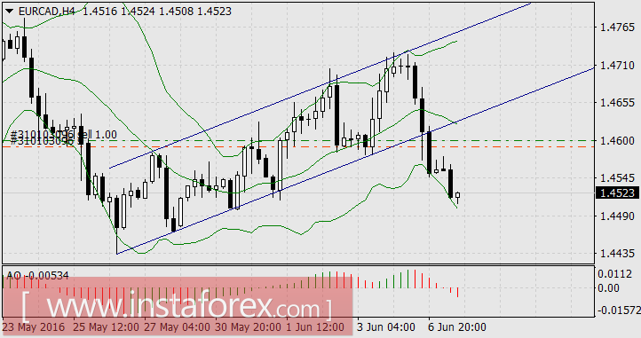 Кросс-курсы лидируют